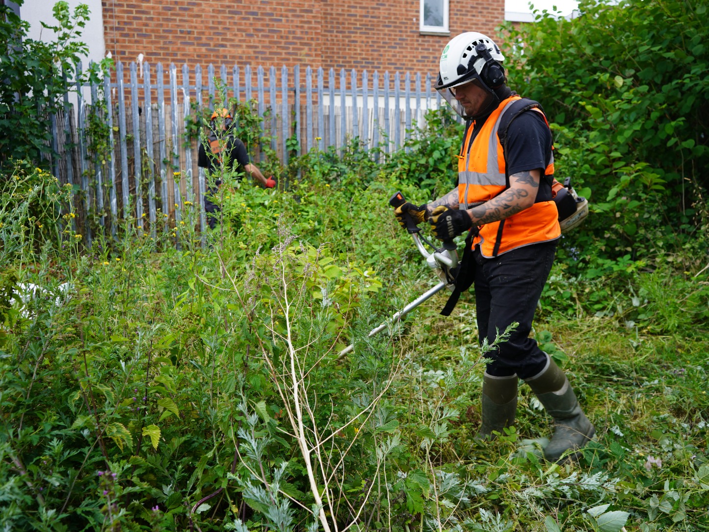 Strimming for non-invasive vegetation