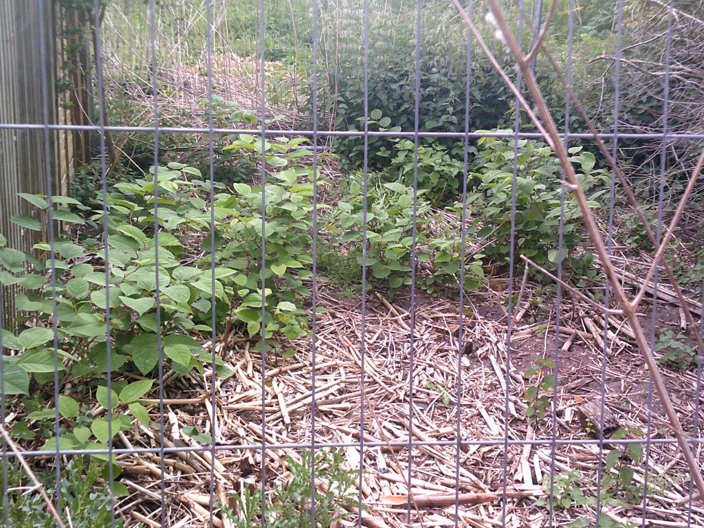 Cordon off affected area during herbicide treatment