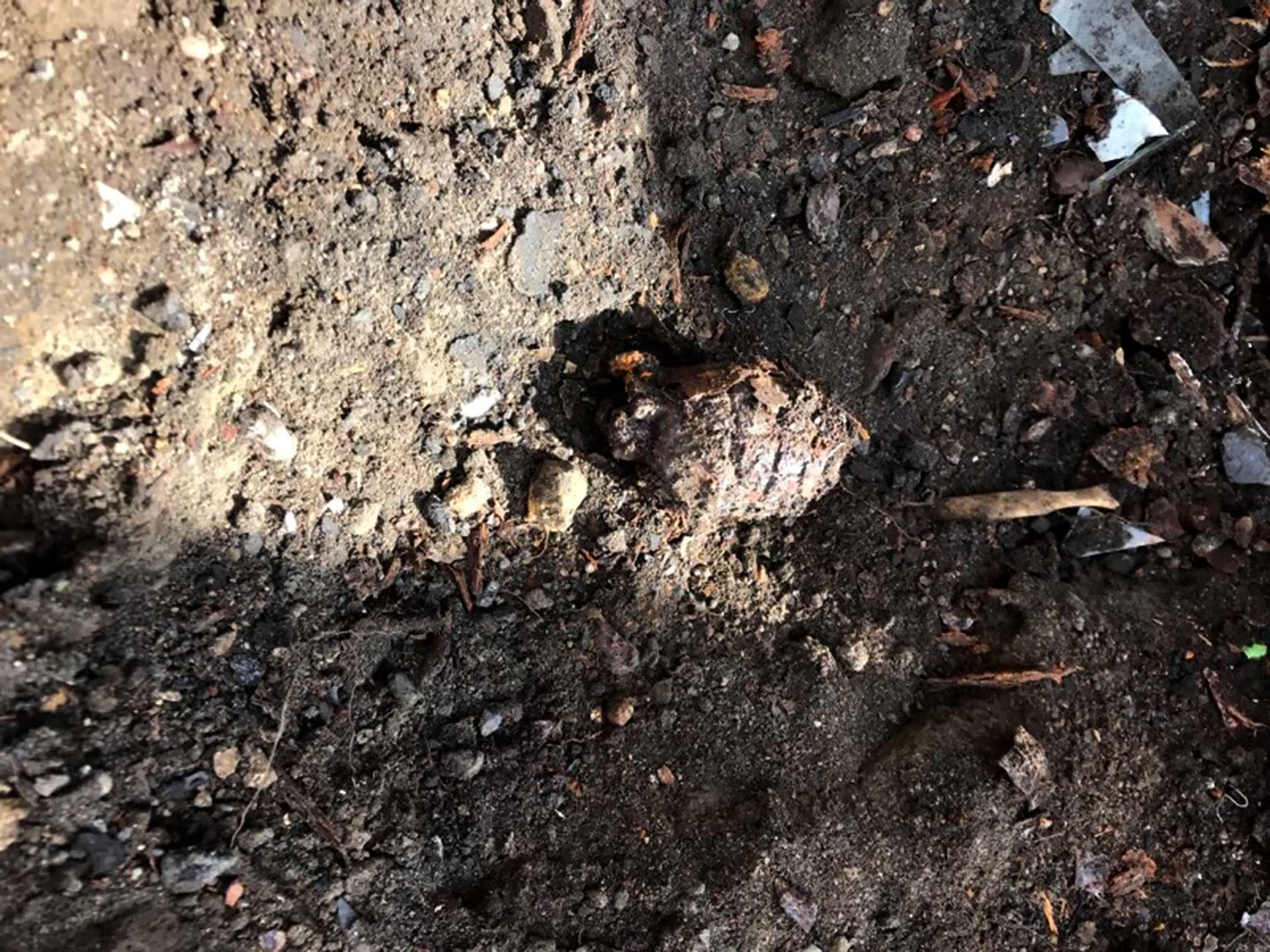 Hand grenade found in London garden during Japanese Knotweed tratment