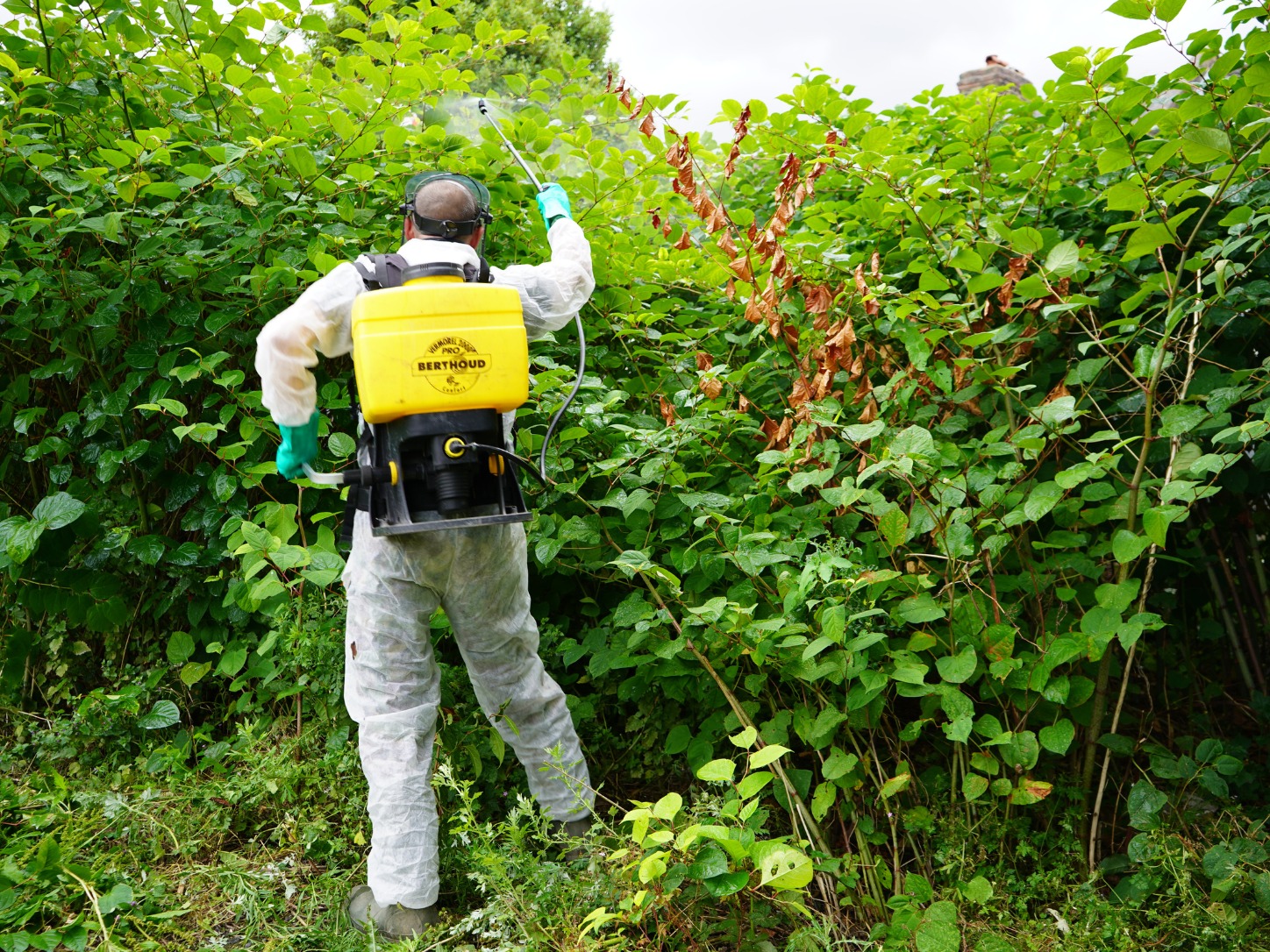 Herbicidal Spraying