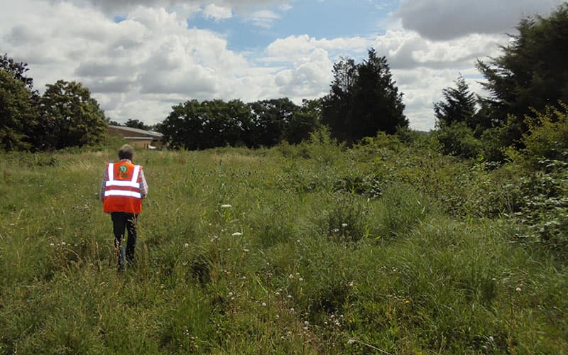 north london development site prior to vegetation removal