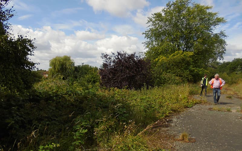 TCM team surveying development site for vegetation removal