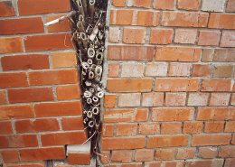 extensive damage is caused by invasive Japanese knotweed to building as seen in this picture where the plant has literally pushed the wall apart