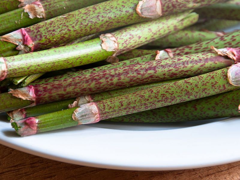 Can you eat Japanese knotweed?