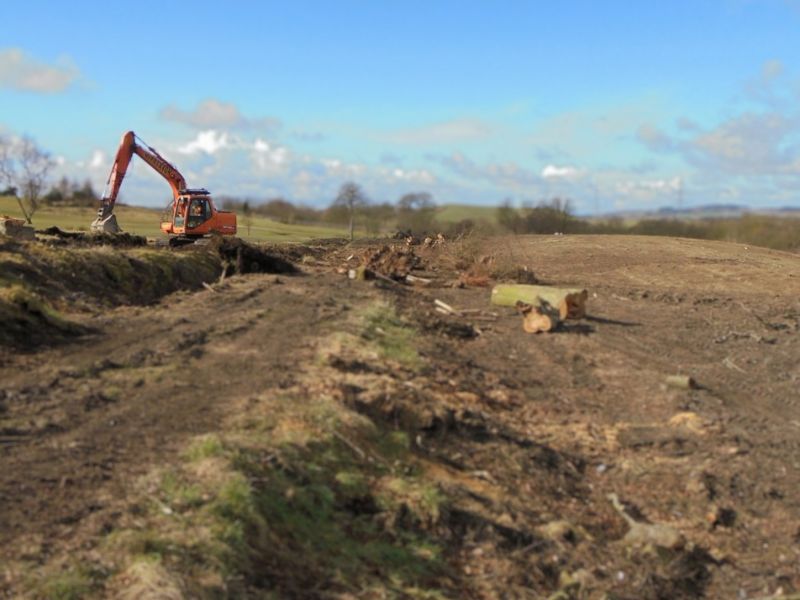 Vegetation Clearance on new site