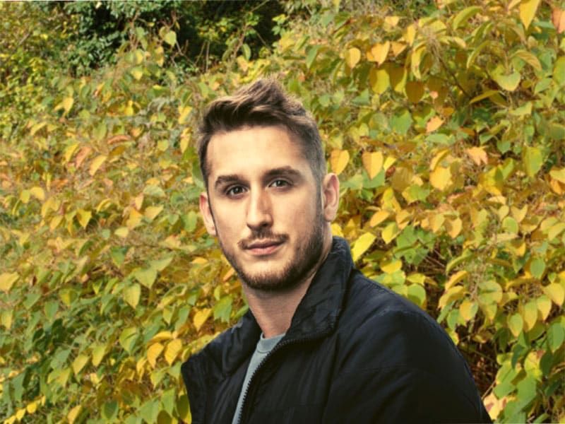 london japanese knotweed hotspot